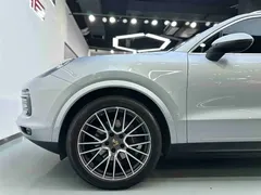 2022 Porsche Cayenne 3.0T Platinum — фото 25