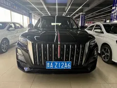 2023 Hongqi HS5 2.0T Pro, чёрный — фото 2
