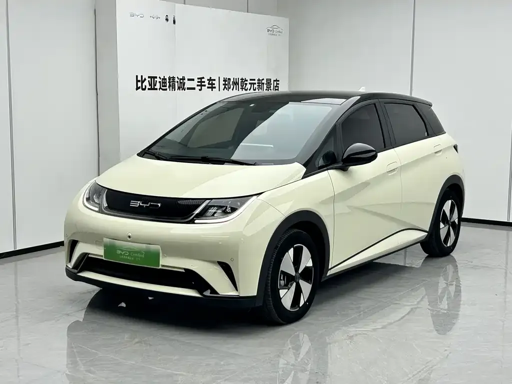 2023 BYD Dolphin 420km Fashion