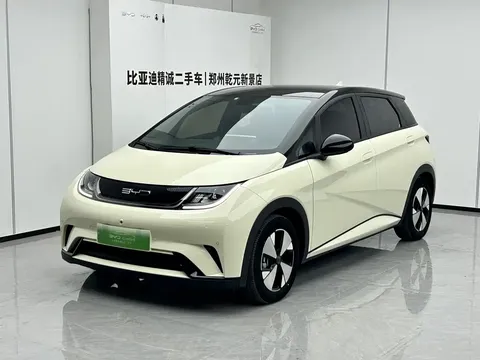 2023 BYD Dolphin 420km Fashion