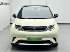 2023 BYD Dolphin 420km Fashion, белый — фото 2