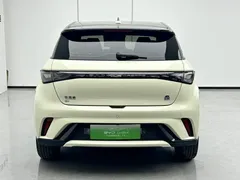 2023 BYD Dolphin 420km Fashion, белый — фото 4
