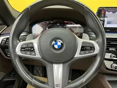 2022 BMW 5 Series 530Li M, синий — фото 30