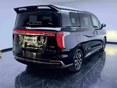 2023 Hongqi HQ9 2.0T, чёрный — фото 6