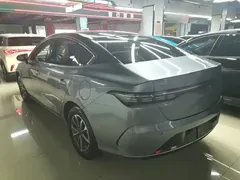 2024 BYD Destroyer 05 DM-i 55KM — фото 5
