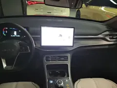 2024 BYD Destroyer 05 DM-i 55KM — фото 13