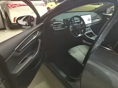 2024 BYD Destroyer 05 DM-i 55KM — фото 16