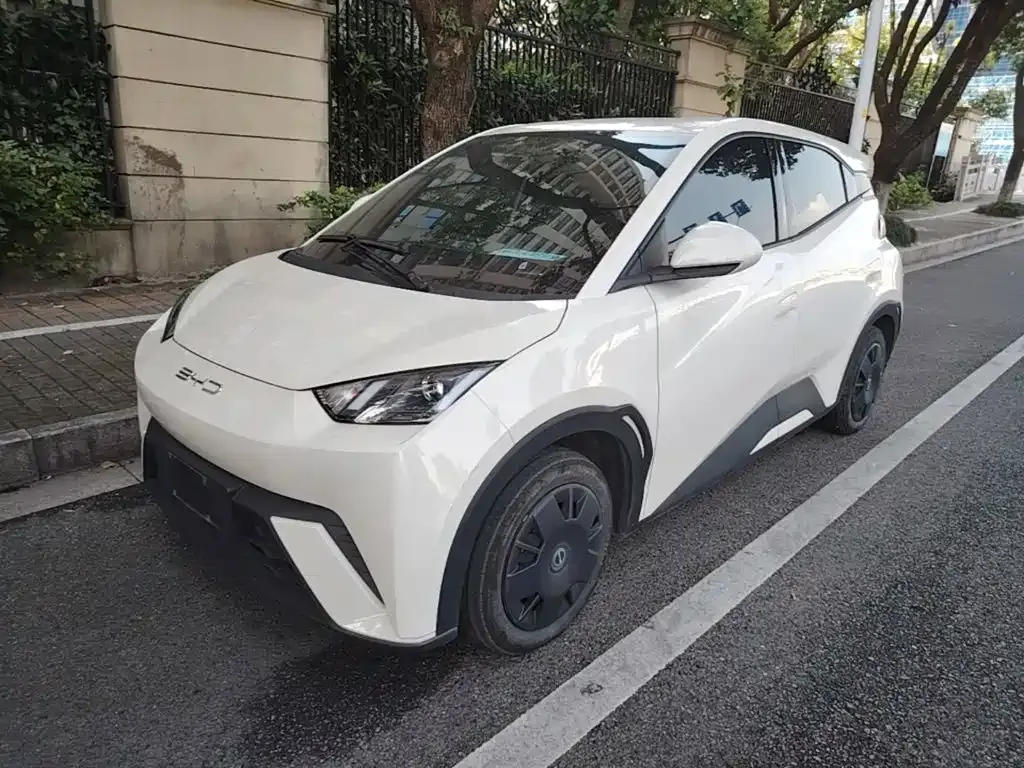 2023 BYD Seagull Vitality
