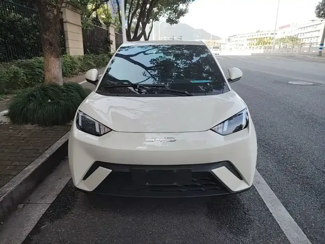 2023 BYD Seagull Vitality
