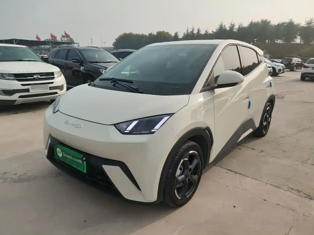2023 BYD Seagull Freedom