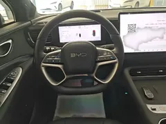 2025 BYD DM-i 205 Plus — фото 3