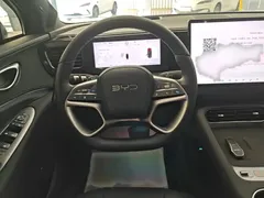 2025 BYD DM-i 205 Plus — фото 14