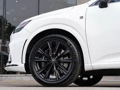 2023 Lexus RX 500h F SPORT Performance, белый — фото 8