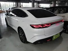 2024 BYD Qin L DM-i 120KM, белый — фото 5