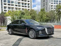 2024 Hongqi H5 2.0T, чёрный — фото 3