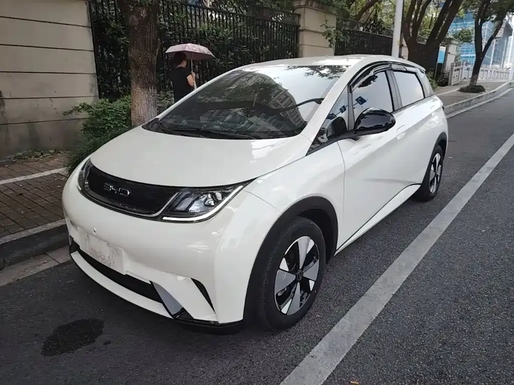 2023 BYD Dolphin 420km Freedom