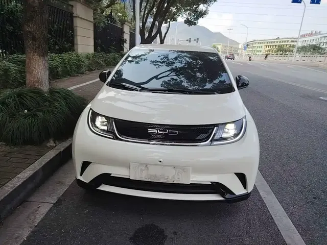 2023 BYD Dolphin 420km Freedom