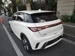 2023 BYD Dolphin 420km Freedom — фото 5
