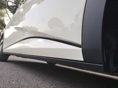 2023 BYD Dolphin 420km Freedom — фото 22