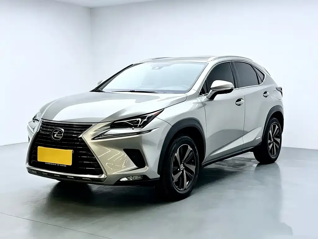 2020 Lexus NX 300h V