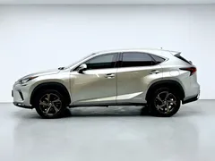 2020 Lexus NX 300h V — фото 19