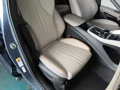 2023 BYD Song Pro DM-i 71KM, синий — фото 25
