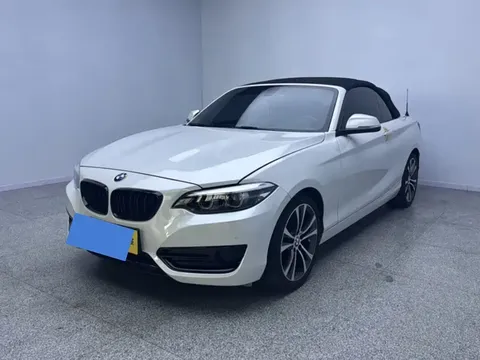2019 BMW 2 Series 225i