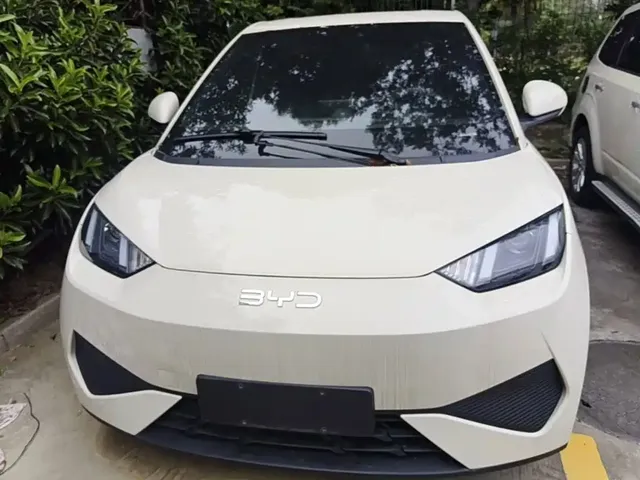 2025 BYD Seagull 305km Vitality