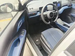 2025 BYD Seagull 305km Vitality, белый — фото 16