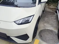 2025 BYD Seagull 305km Vitality, белый — фото 24