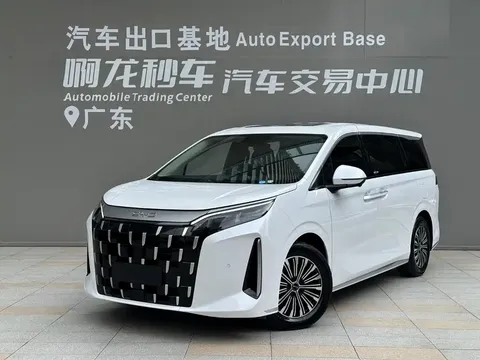 2025 BYD 1060