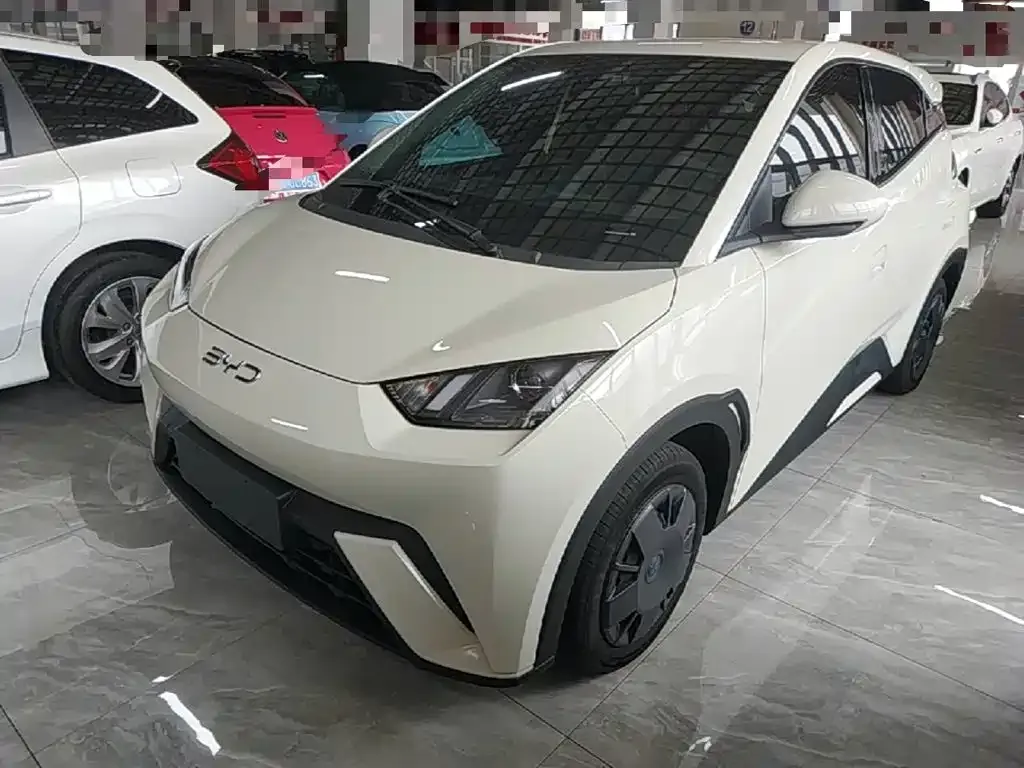 2025 BYD Seagull 305km Vitality