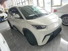 2025 BYD Seagull 305km Vitality, белый — фото 4