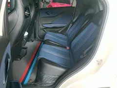 2025 BYD Seagull 305km Vitality, белый — фото 17