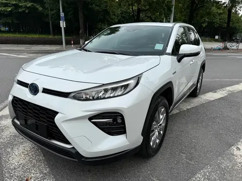 2021 Toyota Wildlander 2.5L E-CVT
