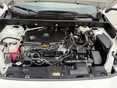 2021 Toyota Wildlander 2.5L E-CVT, белый — фото 16