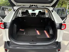 2021 Toyota Wildlander 2.5L E-CVT, белый — фото 21