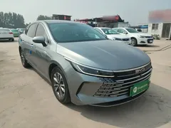2024 BYD Destroyer 05 DM-i 55KM — фото 4