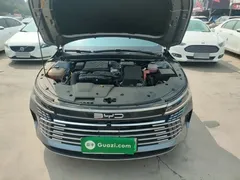 2024 BYD Destroyer 05 DM-i 55KM — фото 20