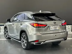 2020 Lexus RX 300 — фото 6