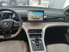 2024 BYD Song Pro DM-i 71KM — фото 13