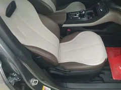 2023 BYD Qin PLUS DM-i 55KM — фото 25