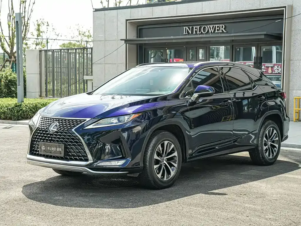 2020 Lexus RX 300 VI