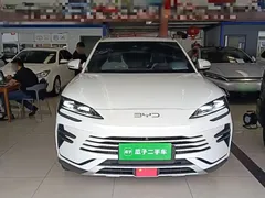 2025 BYD Song PLUS DM-i 112KM, белый — фото 3