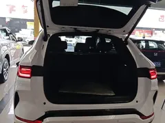 2025 BYD Song PLUS DM-i 112KM, белый — фото 19