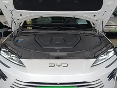 2025 BYD Song PLUS DM-i 112KM, белый — фото 20