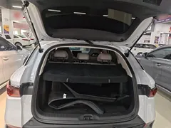 2023 BYD Yuan PLUS Champion 510km Excellence, белый — фото 19