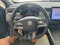 2025 BYD Qin PLUS DM-i 55KM — фото 11