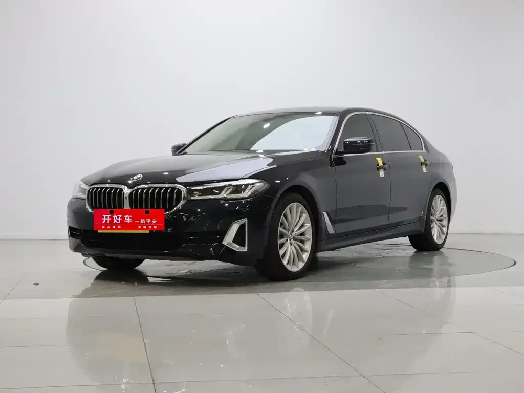 2021 BMW 5 Series 530Li