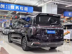 2024 Hongqi HQ9 2.0T — фото 9